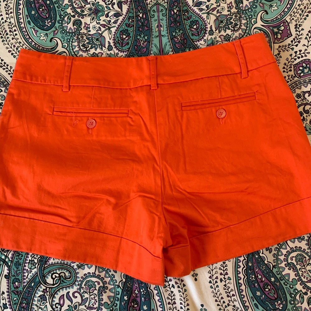 New York & Company Shorts - Picture 2 of 3